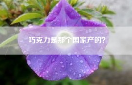 巧克力是那个国家产的？