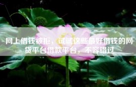 网上借钱被拒，试试这些最好借钱的网贷平台借款平台，不容错过