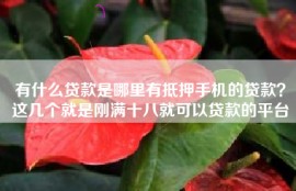 有什么贷款是哪里有抵押手机的贷款？这几个就是刚满十八就可以贷款的平台