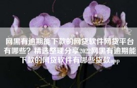 网黑有逾期能下款的网贷软件网贷平台有哪些？精选整理分享2022网黑有逾期能下款的网贷软件有哪些贷款app