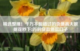 精选整理！千万不能错过的负债高大数据花秒下2万的贷款借款口子