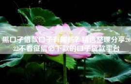 黑口子借款口子有哪些？精选整理分享2022不看征信必下款的口子贷款平台