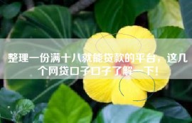 整理一份满十八就能贷款的平台，这几个网贷口子口子了解一下！
