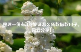 整理一份有c1驾驶证怎么贷款借款口子，简云分享！