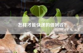 怎样才能快速的借到钱？