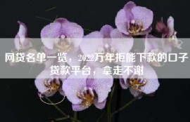 网贷名单一览，2022万年拒能下款的口子贷款平台，拿走不谢
