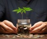 芝麻信用贷款 免费2025年收集！本文为您深度公布！