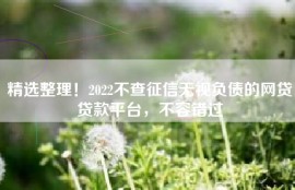精选整理！2022不查征信无视负债的网贷贷款平台，不容错过