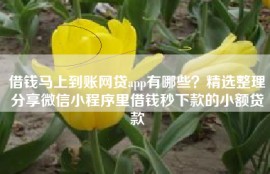 借钱马上到账网贷app有哪些？精选整理分享微信小程序里借钱秒下款的小额贷款