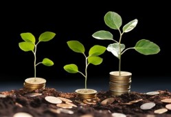 不看征信和负债的借贷平台有哪些？盘点2025不查征信和负债的借款平台