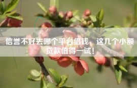 信誉不好去哪个平台借钱，这几个小额贷款值得一试！