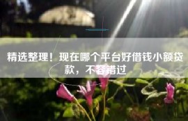 精选整理！现在哪个平台好借钱小额贷款，不容错过