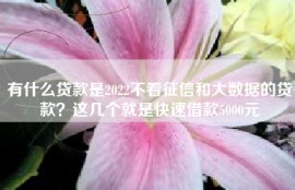 有什么贷款是2022不看征信和大数据的贷款？这几个就是快速借款5000元