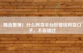 精选整理！什么网贷平台好借钱网贷口子，不容错过
