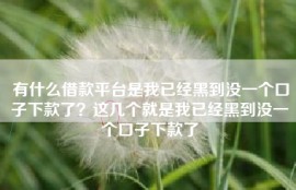 有什么借款平台是我已经黑到没一个口子下款了？这几个就是我已经黑到没一个口子下款了