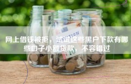 网上借钱被拒，试试这些黑户下款有哪些口子小额贷款，不容错过