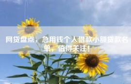 网贷盘点，急用钱个人借款小额贷款名单，值得关注！