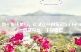 网上借钱被拒，试试这些网贷论坛口子2022借款平台，不容错过