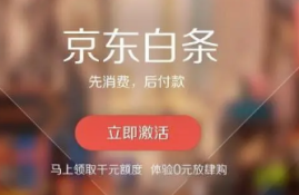 哪些商家支持使用白条分期付款？