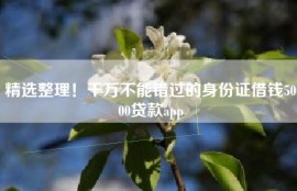 精选整理！千万不能错过的身份证借钱5000贷款app