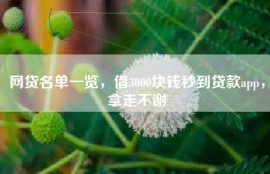 网贷名单一览，借3000块钱秒到贷款app，拿走不谢