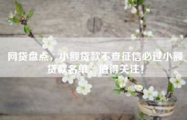 网贷盘点，小额贷款不查征信必过小额贷款名单，值得关注！