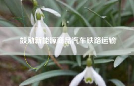 鼓励新能源商品汽车铁路运输