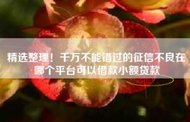 精选整理！千万不能错过的征信不良在哪个平台可以借款小额贷款