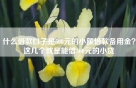 什么借款口子是500元的小额借款备用金？这几个就是能借500元的小贷