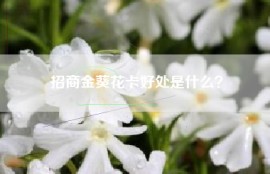 招商金葵花卡好处是什么？
