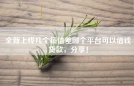 全新上线几个征信差哪个平台可以借钱贷款，分享！