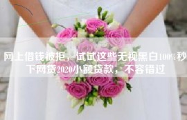 网上借钱被拒，试试这些无视黑白100%秒下网贷2020小额贷款，不容错过