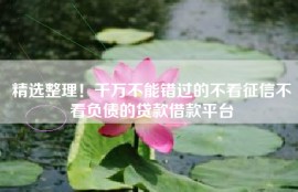 精选整理！千万不能错过的不看征信不看负债的贷款借款平台