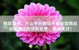 网贷盘点，什么平台借钱不看征信而且容易通过的贷款名单，值得关注！