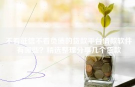不看征信不看负债的贷款平台借款软件有哪些？精选整理分享几个贷款