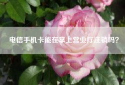 电信手机卡能在掌上营业厅注销吗？