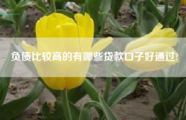 负债比较高的有哪些贷款口子好通过?