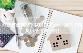 网黑有逾期能下款的口子2022，这几个网贷口子值得一试！
