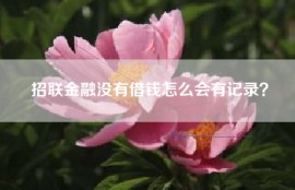 招联金融没有借钱怎么会有记录？