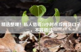 精选整理！私人借钱24小时在线网贷口子，不容错过