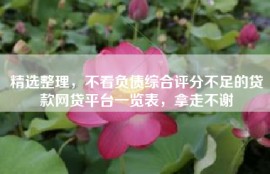 精选整理，不看负债综合评分不足的贷款网贷平台一览表，拿走不谢