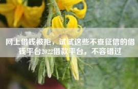网上借钱被拒，试试这些不查征信的借钱平台2022借款平台，不容错过