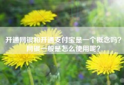 开通网银和开通支付宝是一个概念吗？网银一般是怎么使用呢？