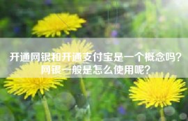 开通网银和开通支付宝是一个概念吗？网银一般是怎么使用呢？