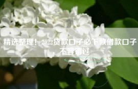 精选整理！2022贷款口子必下款借款口子，不容错过