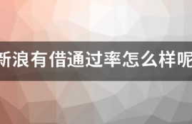 新浪有借通过率怎么样呢