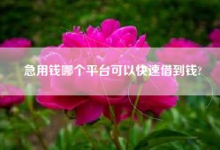 急用钱哪个平台可以快速借到钱?