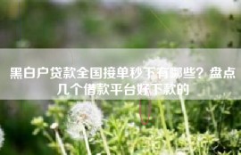 黑白户贷款全国接单秒下有哪些？盘点几个借款平台好下款的