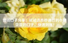 借钱口子分享：试试这些秒通过的小额贷款的口子，快速到账！