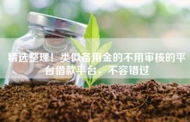 精选整理！类似备用金的不用审核的平台借款平台，不容错过